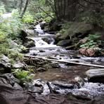 Profile Picture of Eduard Hora (@Eduard-Hora) on Facebook