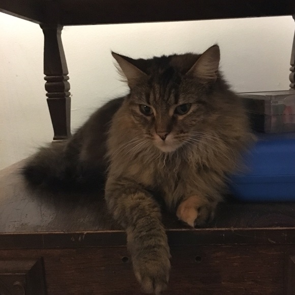 Claire Mcmillin - Poshmark Profile Picture of Claire Mcmillin (@mickey_19) on Poshmark