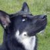 Profile Picture of Thomas Lichtenegger (@Thomas-Lichtenegger) on Facebook