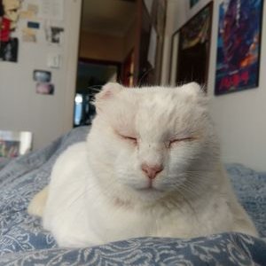 Profile Picture of EricRosentreter (@ETRosentreter) on Twitter