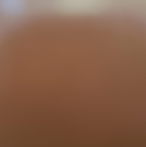 Profile Picture of Michele Custer (@ninemilelady) on Poshmark