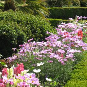 Profile Picture of Larry Gumbs (@joesriv) on Pinterest