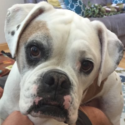 Profile Picture of Mrs.Luttner (@MLuttner_BHS) on Twitter