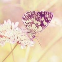 Profile Picture of Anindita Chatterjee (@anindita-chatterjee-48) on Quora