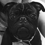 Profile Picture of Oliver Gammon (@gammon.oliver) on Instagram
