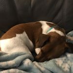 Profile Picture of Jenna Vogel (@tootsiegirljv2) on Instagram