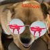 Profile Picture of Taylor Tomson (@taylor.tomson.984) on Facebook