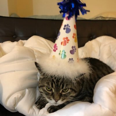 Profile Picture of Blake J. Harris (@blakejharrisNYC) on Twitter