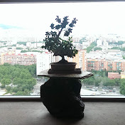 Profile Picture of Jeremy Andrews (@jeremyandrews7279) on Youtube