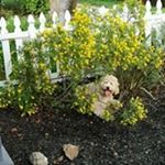 Laura Lee Kulesher - Instagram Profile Picture of Laura Lee Kulesher (@kulesher) on Instagram