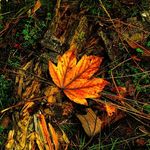 Profile Picture of Benjamin Kästner (@kaestnerfotografie) on Instagram