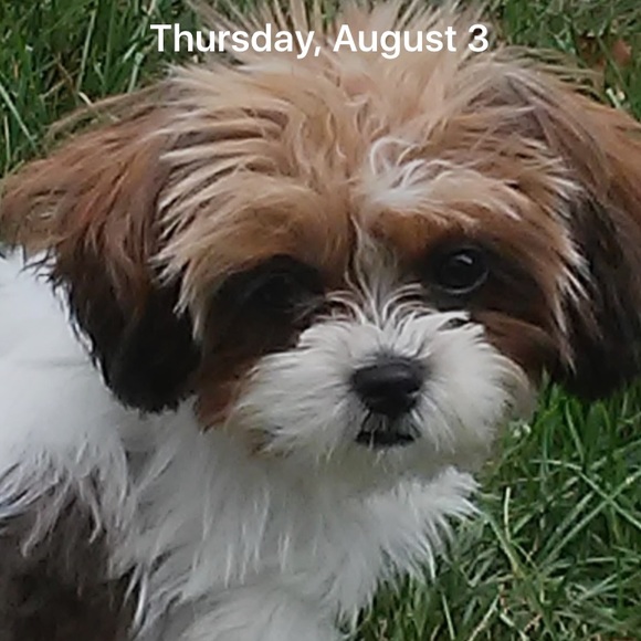 Profile Picture of Karleen Boudoin (@kboudoin1) on Poshmark