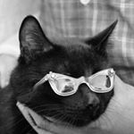 Profile Picture of Christian Wheeler (@cwheela) on Instagram