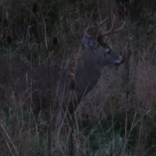 Profile Picture of Paul Hurtubise (@paulhurtubise1481) on Youtube