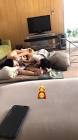 Profile Picture of   nene.pablo (@nene.pablo)... (@nene.pablo) on Tiktok