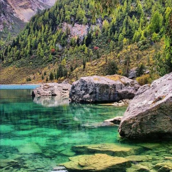 Profile Picture of Christopher Turner (@korousjag) on Poshmark