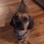 Profile Picture of Keith Daniels (@Keith-Daniels) on Facebook