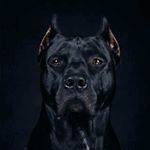 Profile Picture of 🅹 🅰 🅲 🅾 🅱 (@luther.jacob) on Instagram