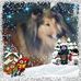 Profile Picture of Hazel Stainer (@hazel.stainer.3) on Facebook