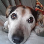 Profile Picture of Albert Bertrand (@Albert-Bertrand) on Facebook