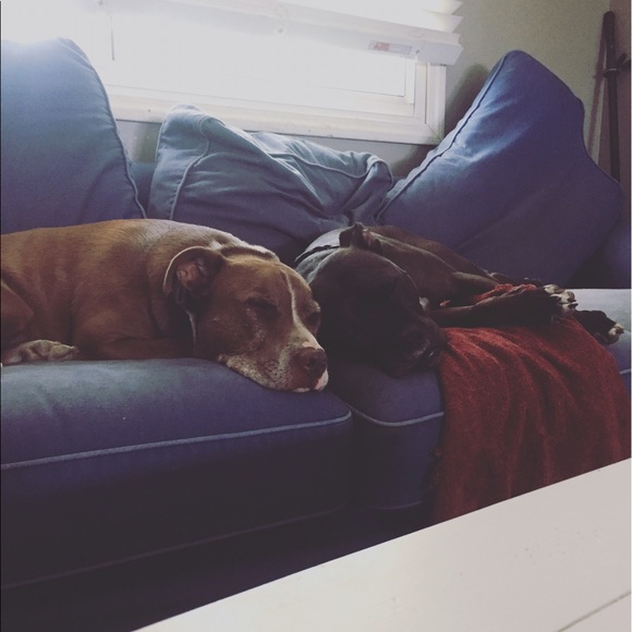 Profile Picture of Brett Anthony (@glavey23) on Poshmark