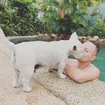 Profile Picture of David Scott-Rothera (@davidrothera) on Instagram