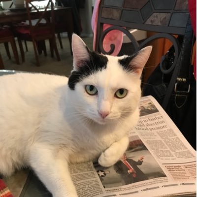 Profile Picture of Dee Bender (@deebender19) on Twitter