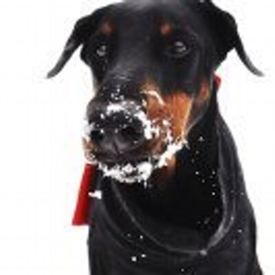 Profile Picture of Ares Adam (@AresAdam) on Twitter