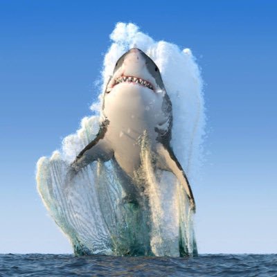 Profile Picture of Tom Manning (@723charlton) on Twitter