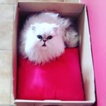 Profile Picture of John Holmes (@john454510) on Instagram