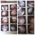 Profile Picture of Monique patel (@mitziff) on Instagram