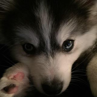 Profile Picture of Dirk Fonda (@dirk.fonda) on Facebook