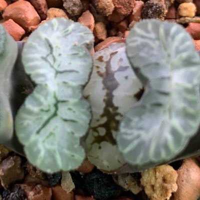 Profile Picture of Sam Tsai (@samtsai30861669) on Twitter