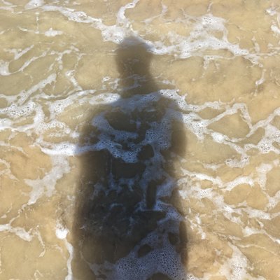 Profile Picture of Sam Passer (@SamPasser1) on Twitter