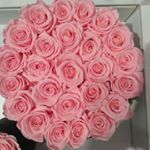 Rocio madrigal - Instagram Profile Picture of Rocio madrigal (@madrigal3991) on Instagram