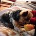 Profile Picture of Steve Breeden (@steve.breeding.3511) on Facebook