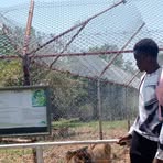 Profile Picture of Noisy Memer (@noisy.memer.2025) on Facebook