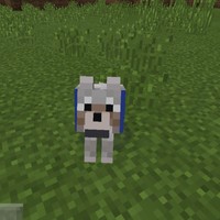 Profile Picture of Kenny Estrella (@kenny-estrella-1) on Quora