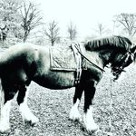 Profile Picture of Peter Reed (@peterreed80) on Instagram