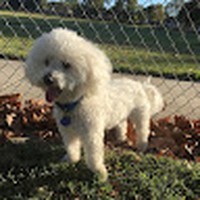 Silvia Haro - Quora Profile Picture of Silvia Haro (@silvia-haro-2) on Quora