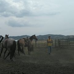 Profile Picture of Kenneth Hoops (@kenneth.hoops) on Tiktok