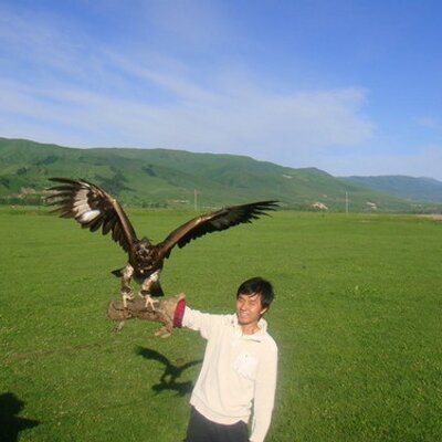 Profile Picture of Chao Huang (@Aixnim) on Twitter