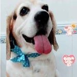 Profile Picture of Aury Rivera (@aura.rivera.5) on Instagram