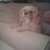 Profile Picture of Joyce Haughey (@joyce.haughey.7) on Facebook