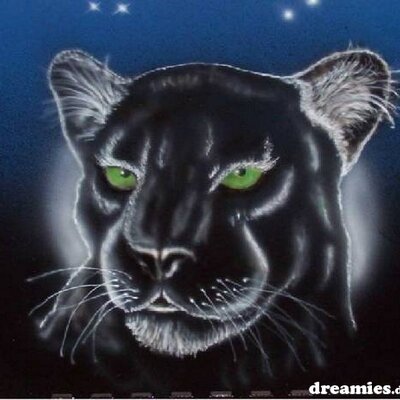 Profile Picture of STEVEN O´NELL (@IceOnell) on Twitter