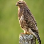 Profile Picture of Keith Griffiths (@_kgs_photography) on Instagram