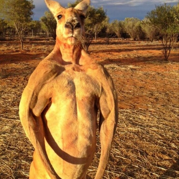 Profile Picture of Kenneth Bates (@ghostcoffee3) on Poshmark