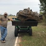 Profile Picture of bradboykin73 (@bradboykin73) on Instagram