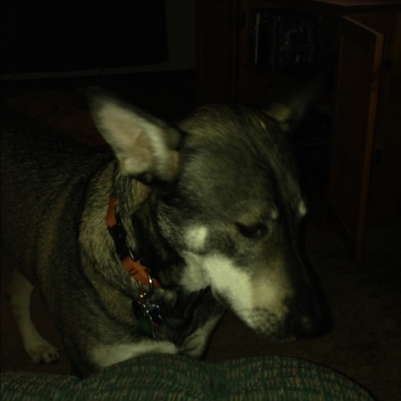 Profile Picture of Kim Osborn (@ktosborn52068) on Poshmark