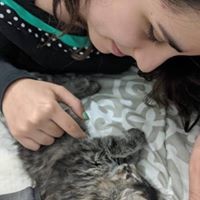 Profile Picture of Paula Casanova (@paula-casanova-2) on Quora